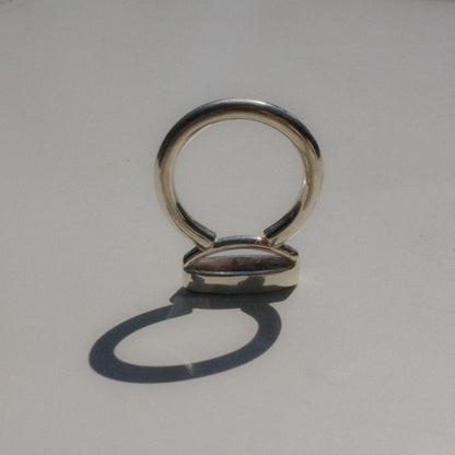 230731 Ring