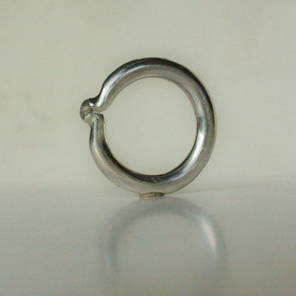 231105 Ring